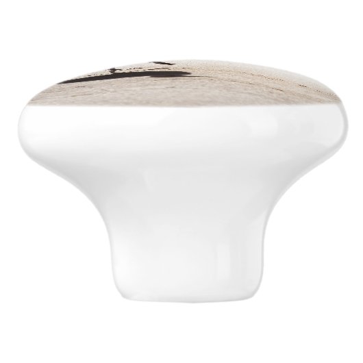 Seagull op Virginia Beach Keramische Knop (Zijkant)