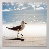 Seagull op Virginia Beach Poster (Voorkant)
