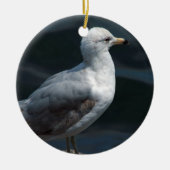 Seagull Ornament (Voorkant)