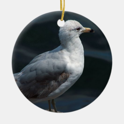 Seagull Ornament (Voorkant)