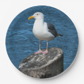 SEAGULL PAPIEREN BORDJE (Voorkant)