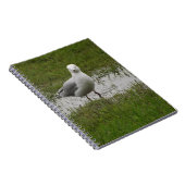 Seagull Permanent in een puddle Notitieboek (Rechterzijde)