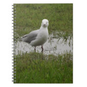 Seagull Permanent in een puddle Notitieboek (Voorkant)