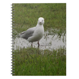 Seagull Permanent in een puddle Notitieboek