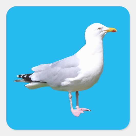 Seagull Permanent Vierkante Sticker (Voorkant)
