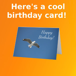 Seagull Photo Birthday Kaart