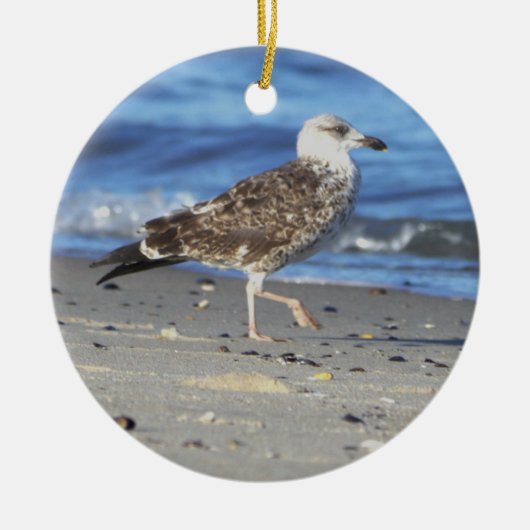 Seagull Photo Ornament (Voorkant)