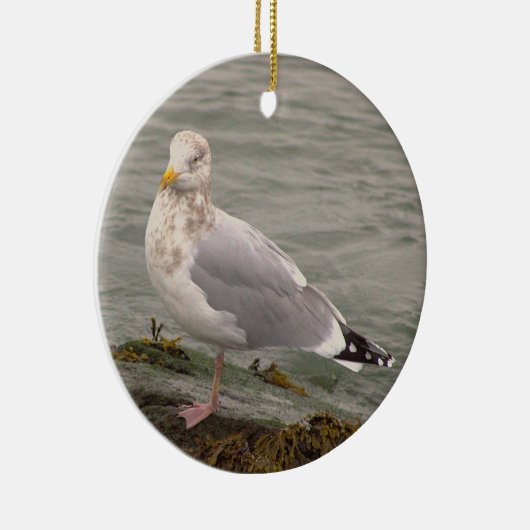 Seagull Photo Ornament  (Rechts)