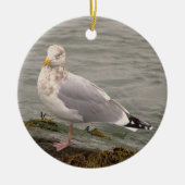 Seagull Photo Ornament  (Voorkant)