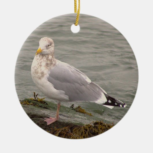 Seagull Photo Ornament  (Voorkant)