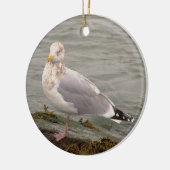Seagull Photo Ornament  (Links)