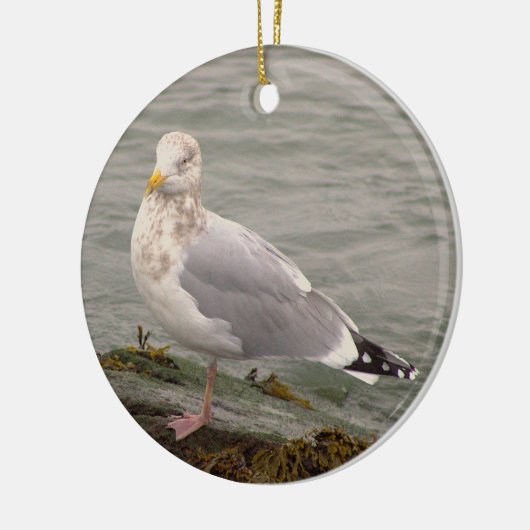 Seagull Photo Ornament  (Links)