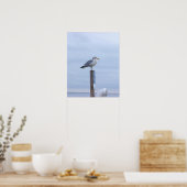 Seagull Photo Poster  (Keuken)