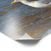 Seagull Photo Print Foto Afdruk (Hoek)