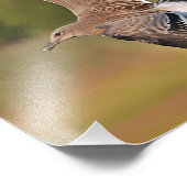 Seagull Photo Print Foto Afdruk (Hoek)