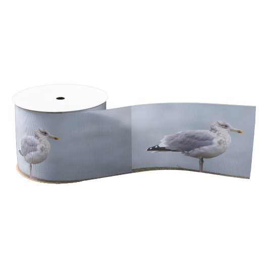 Seagull Photo Ribbon Grosgrain Lint (Spoel)