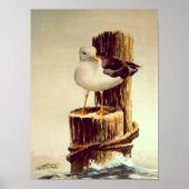 SEAGULL & PILINGS 2 van SHARON SHARPE Poster (Voorkant)