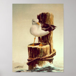 SEAGULL & PILINGS 2 van SHARON SHARPE Poster