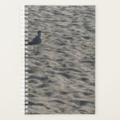 Seagull Planner (Voorkant)