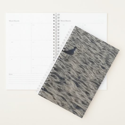 Seagull Planner (Display)