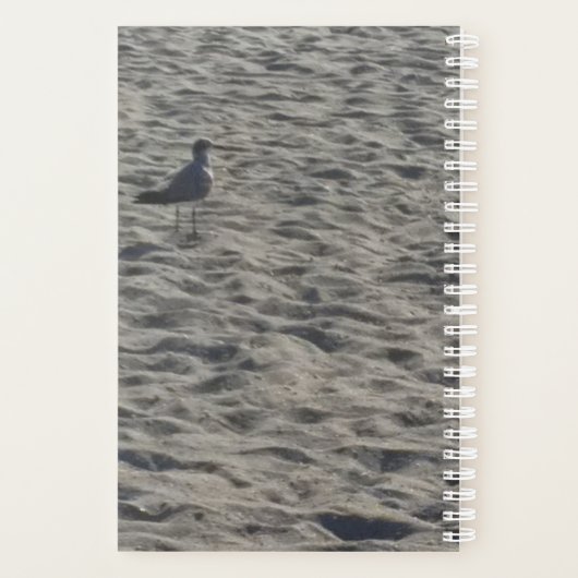 Seagull Planner (Achterkant)