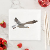 SEAGULL SERVET (Insitu)