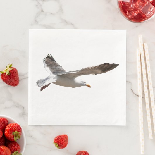 SEAGULL SERVET (Insitu)