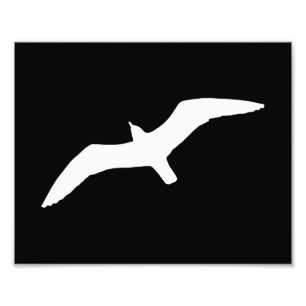 Seagull Shape Foto Afdruk