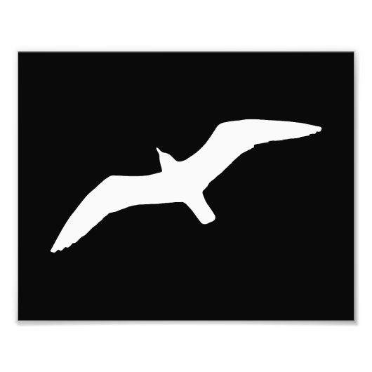 Seagull Shape Foto Afdruk (Voorkant)