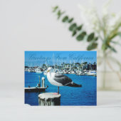 Seagull Shores Briefkaart uit Californië (Staand voorkant)