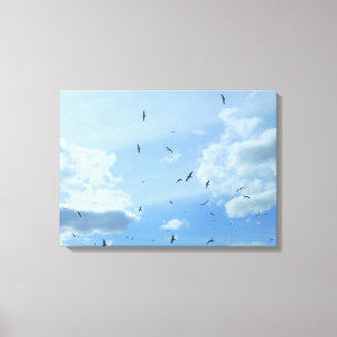Seagull Sky Canvas Afdruk