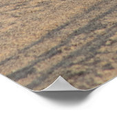 Seagull, solo op Hampton Beach Poster (Hoek)