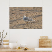 Seagull, solo op Hampton Beach Poster (Keuken)