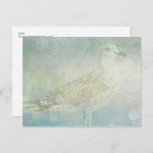 Seagull Sonata Briefkaart (Voorkant / Achterkant)