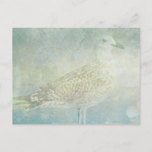 Seagull Sonata Briefkaart