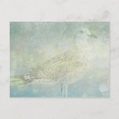 Seagull Sonata Briefkaart (Voorkant)