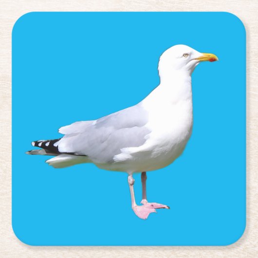 Seagull staand Onderzetter (Voorkant)