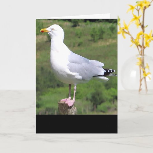 Seagull Standing Tekst toevoegen Groeten Kaart (Gele Bloem)