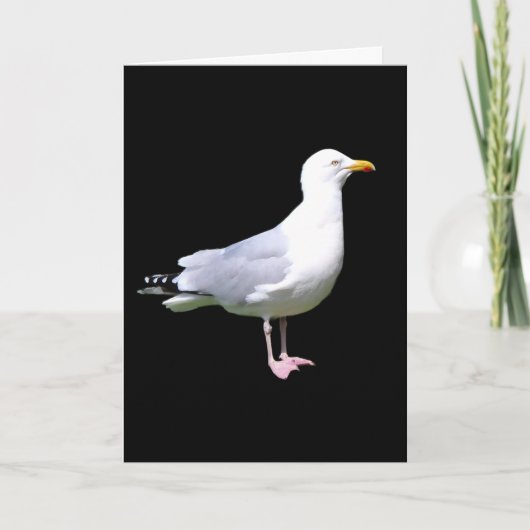 Seagull Standing Tekst toevoegen Groeten Kaart (Voorkant)