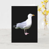 Seagull Standing Tekst toevoegen Groeten Kaart (Gele Bloem)