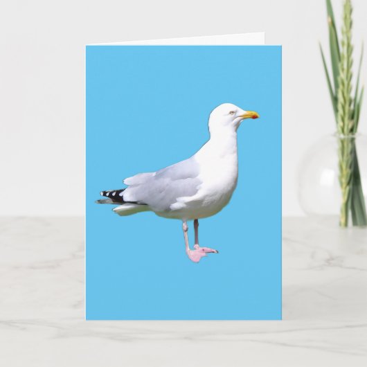 Seagull Standing Tekst toevoegen Groeten Kaart (Voorkant)