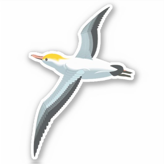 Seagull Sticker (Voorkant)