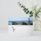 Seagull Stroll Briefkaart (Staand voorkant)