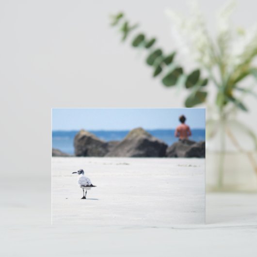 Seagull Stroll Briefkaart (Staand voorkant)