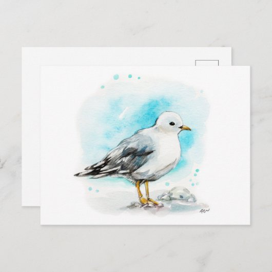 Seagull Studie 1 Briefkaart (Voorkant / Achterkant)