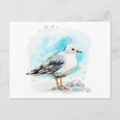 Seagull Studie 1 Briefkaart (Voorkant)