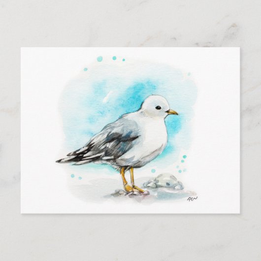 Seagull Studie 1 Briefkaart (Voorkant)
