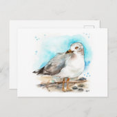 Seagull Studie 2 Briefkaart (Voorkant / Achterkant)