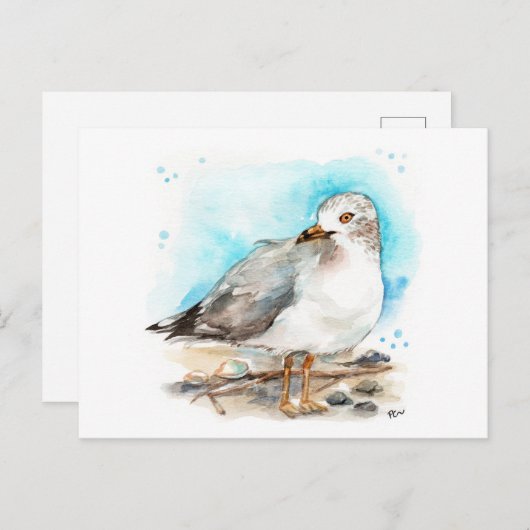 Seagull Studie 2 Briefkaart (Voorkant / Achterkant)