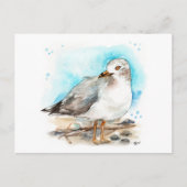 Seagull Studie 2 Briefkaart (Voorkant)